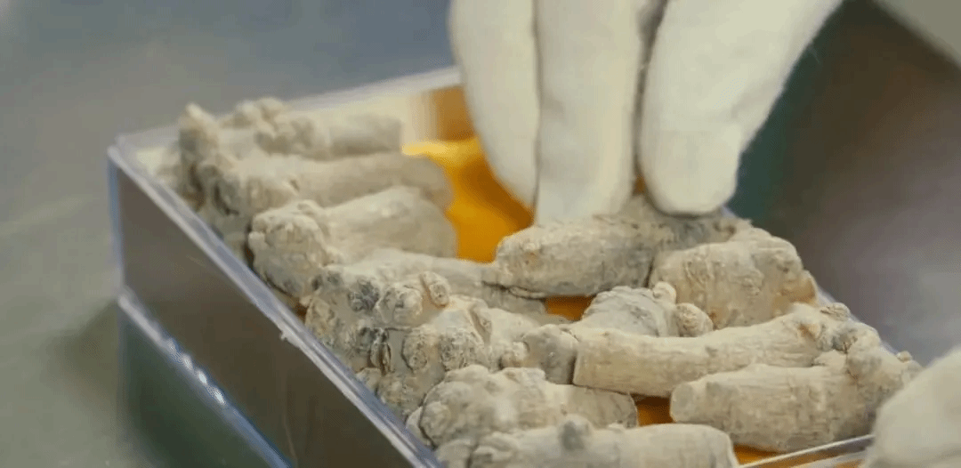 bobi波币钱包 -便捷数字钱币支付工具