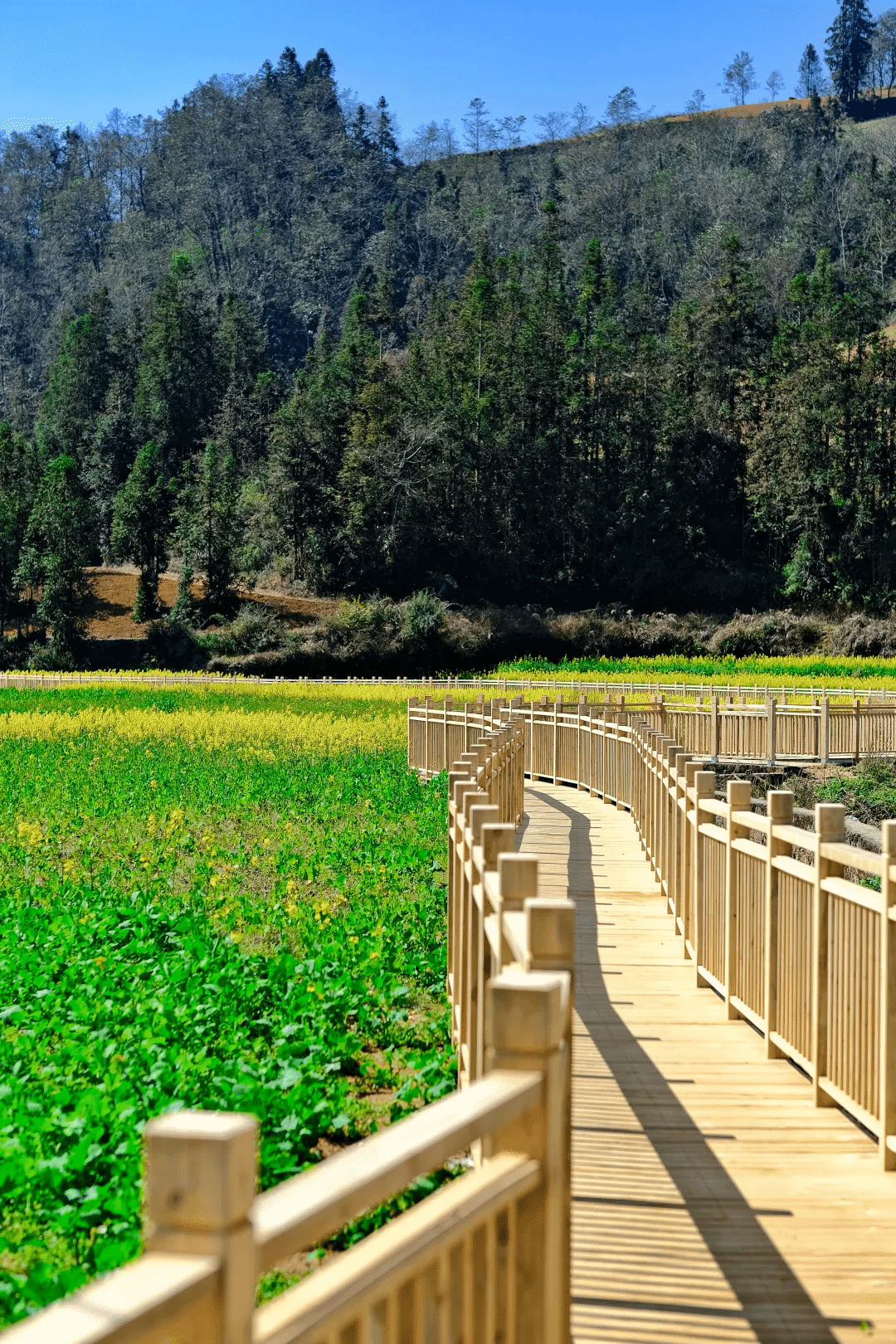 bobi波币钱包 -便捷数字钱币支付工具