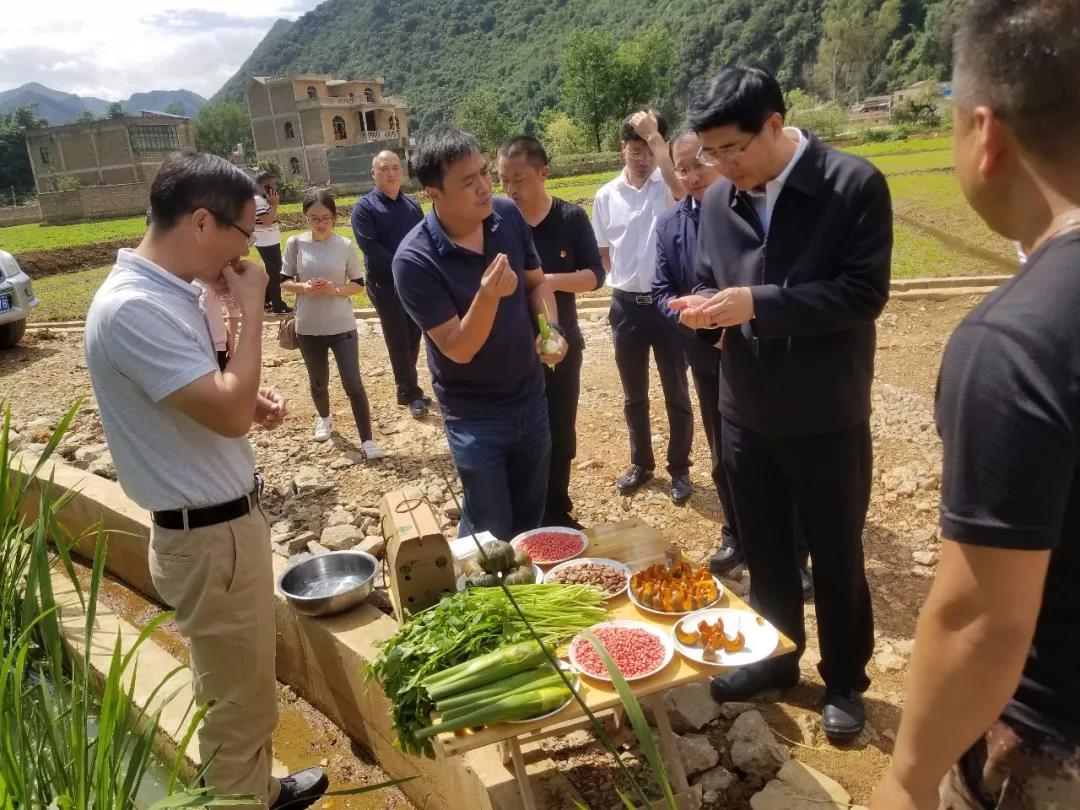 bobi波币钱包 -便捷数字钱币支付工具