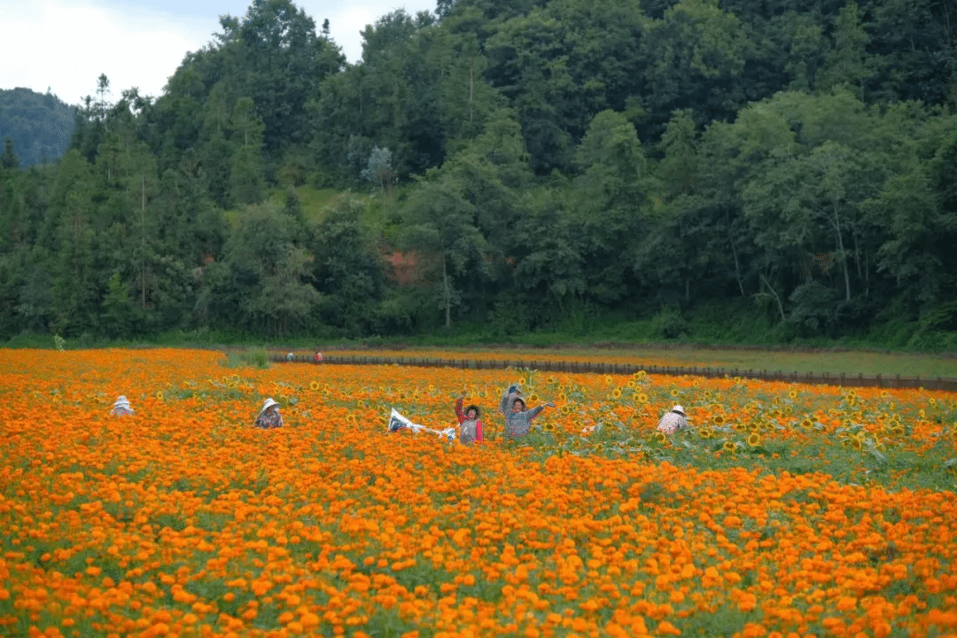bobi波币钱包 -便捷数字钱币支付工具
